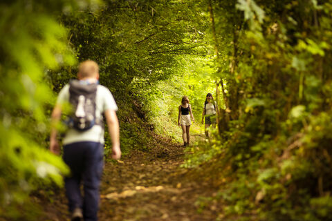 La douce halte - découverte sportives - randonnées - Chambre d'hôte Mayenne 53 Laval