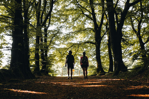 La douce halte - découverte sportives -Station trail - Chambre d'hôte Mayenne 53 Laval